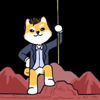 DogelonMars dog meme crypto flag GIF