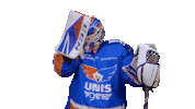 Goal Eagles Sticker by UNIS Flyers