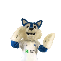 FCLausanneSport dance football wolf suisse Sticker
