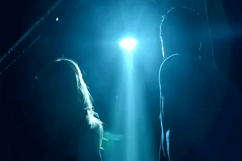 fox tv GIF by The X-Files