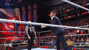 Wwe Wrestling GIF by USA Network