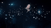 republic records flashlight GIF by Jessie J