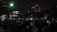 Patriots Fans Converge on Boston Common to Celebrate Super Bowl Win