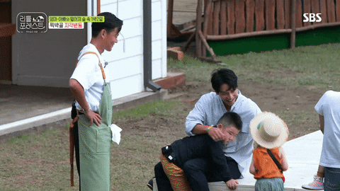 stevefrank1 giphyupload GIF