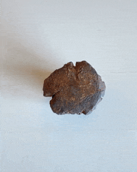 Coins Numismatics GIF by Sarmaya Arts Foundation