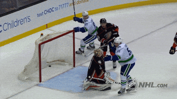 vancouver canucks fist pump GIF by NHL