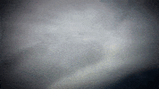 discovery channel shark GIF by Discovery Europe