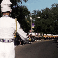 Lsu Football Win GIF by LSU Tigers