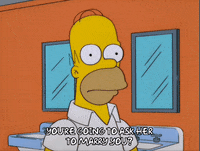 homer simpson GIF
