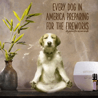 Celebrate 4Th Of July GIF by Root Cause Wellness