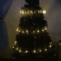 1580A GIF by Cómpralo en Casa