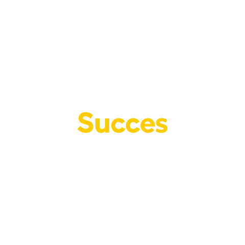 Succes Sticker by Curio