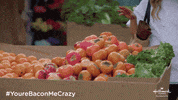 Brett Dalton Spring Fling GIF by Hallmark Channel
