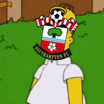 Simpsons Disappear GIF by Southampton FC