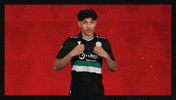 Hannover 96 Football GIF by Bundesliga