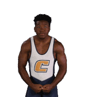 Flex Sticker by Chattanooga Mocs