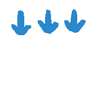 Animation Scroll Down Sticker