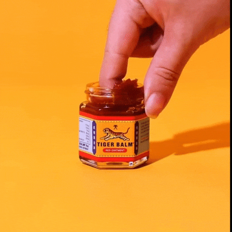 nabavkica giphyupload GIF