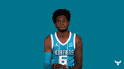 Sport Basketball GIF by Charlotte Hornets