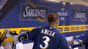 major league baseball sport GIF by MLB