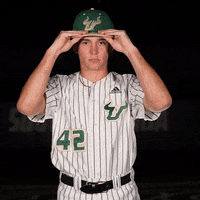 South Florida Baseball GIF by USF Athletics