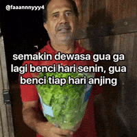 Text Brat GIF