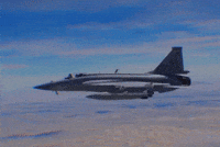 Pakistan Air Force GIF