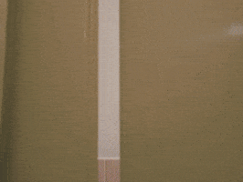 Comedy Lol GIF by The Gregory Brothers