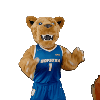 New York Basketball Sticker by Hofstra University
