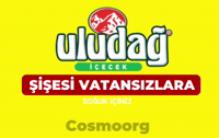 Bursa GIF