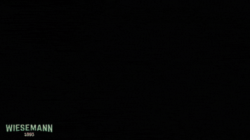 GIF by WIESEMANN 1893