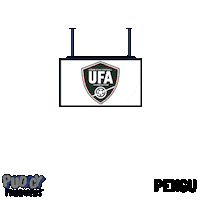 World Cup Football Sticker by Pudgy Penguins