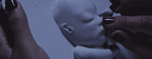 GIF by Mashable