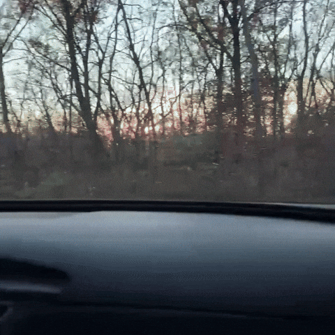 First Person Gta GIF