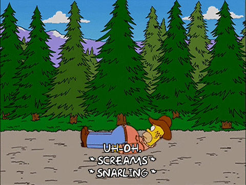 scared homer simpson GIF