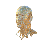 3D Face Sticker by Vince Mckelvie