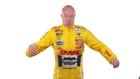 tom coronel celebration Sticker by FIA WTCR
