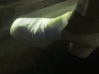 jmsn waiting impatient inferno velvet GIF