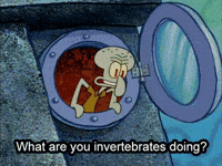 Spongebob Idk GIF