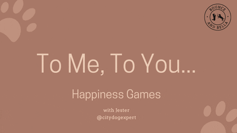 BounceandBella giphyupload dog treats dog games games for dogs GIF