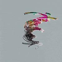Fashion Satisfying GIF by MI