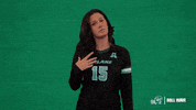 Volleyball Rollwave GIF by GreenWave