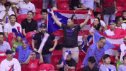 Celebrate Fiba World Cup GIF by FIBA