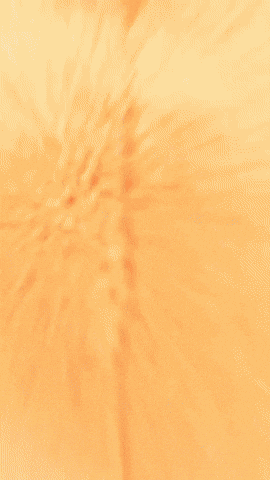 Fox Wolf GIF by Youtooz