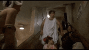 Animal House GIF
