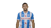 Coybiwab Sticker by sc Heerenveen