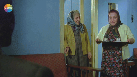 Bizim Aile GIF by Show TV