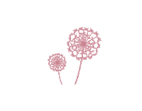 Dandelion-ID dandelion dandelionid lashesbydandelion nailsbydandelion Sticker