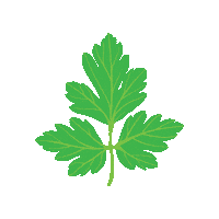 Legumeledeacasa livrariiasi legumeledeacasa legumeiasi legumecugust Sticker