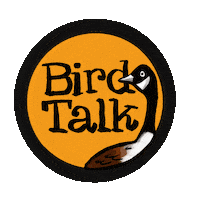 Birdtalk Sticker by girlinwhiteglasses